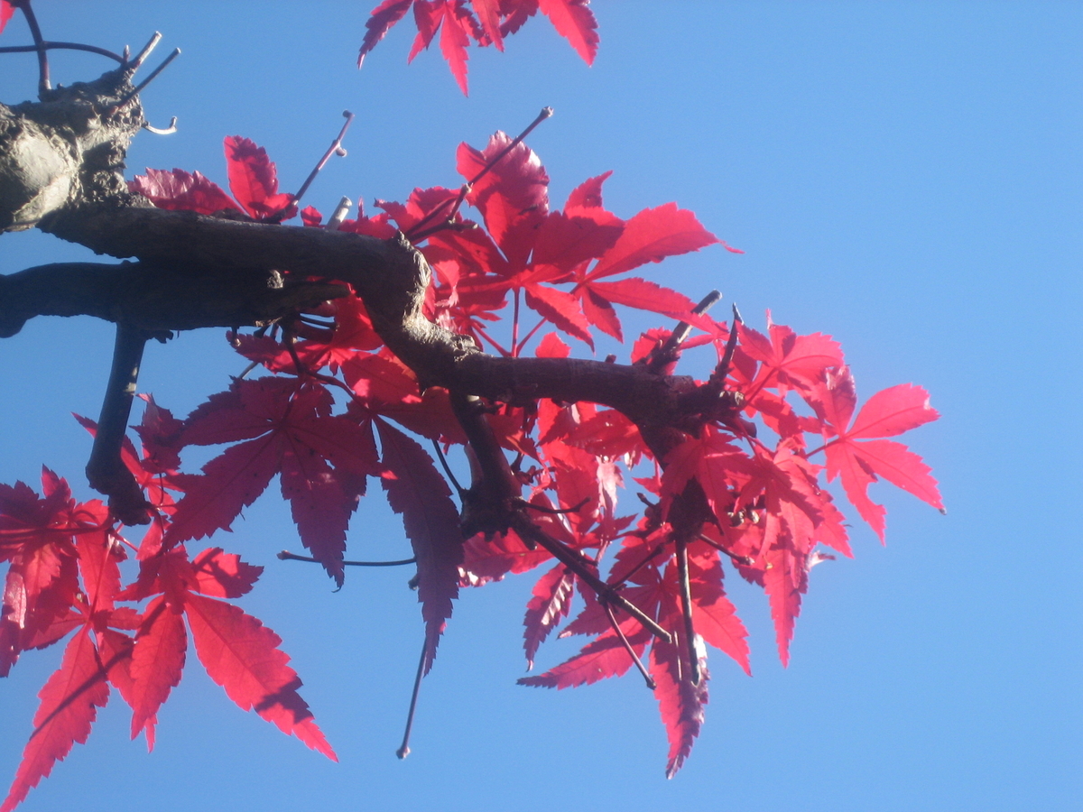 f:id:yf-fujiwara:20191224102222j:plain f:id:yf-fujiwara:20191224102222j:plain