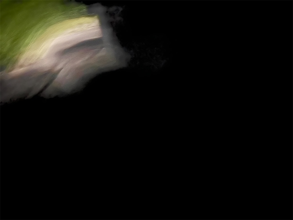 f:id:yf19979125yf:20250105170811j:image f:id:yf19979125yf:20250105170811j:image