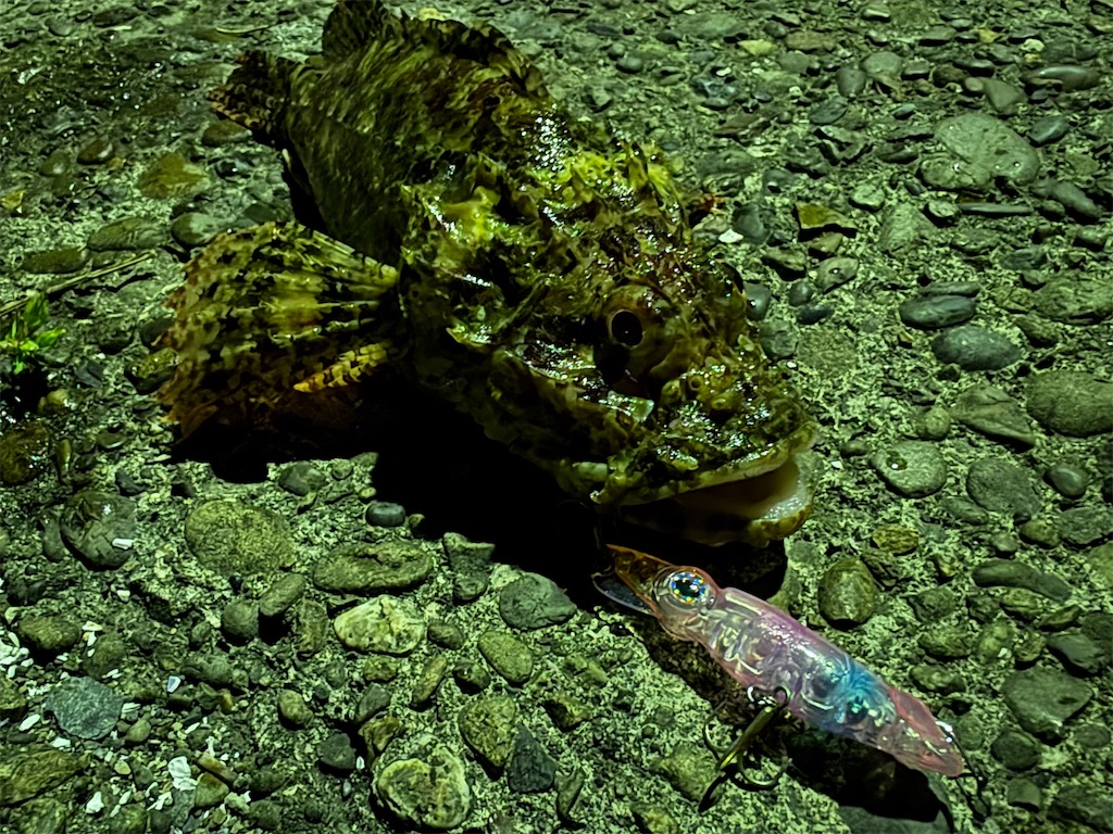 f:id:yfishingyh:20260426114130j:image f:id:yfishingyh:20260426114130j:image