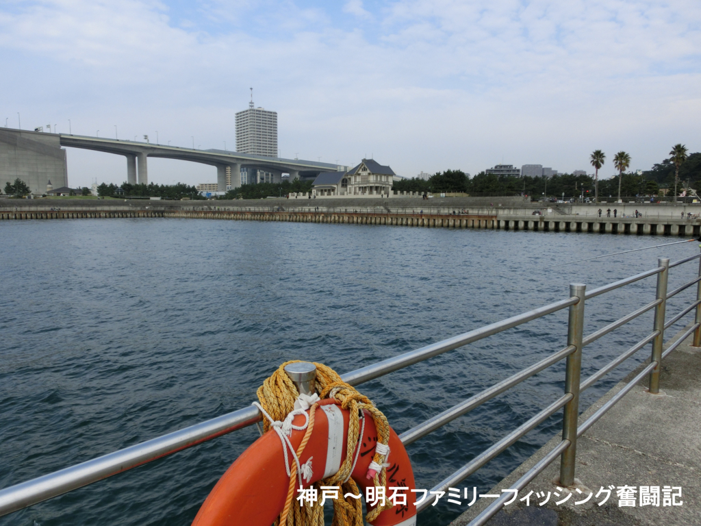 f:id:yggxq957:20170108120254j:plain