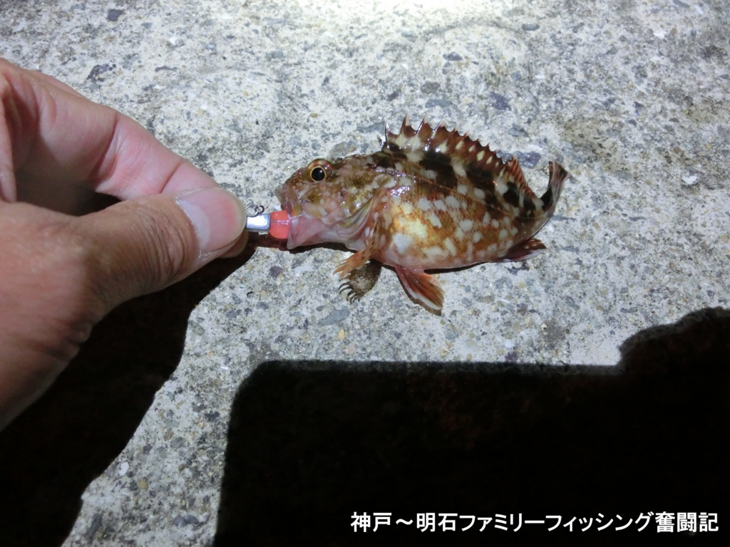 f:id:yggxq957:20170528094334j:plain