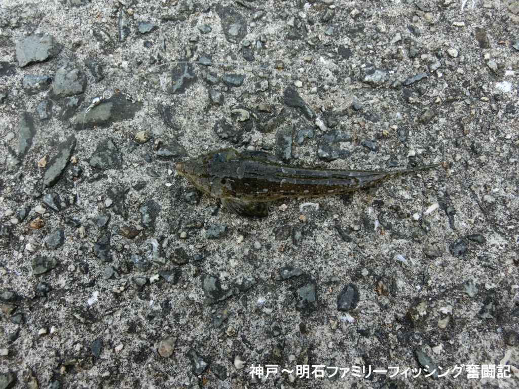 f:id:yggxq957:20170611162009j:plain