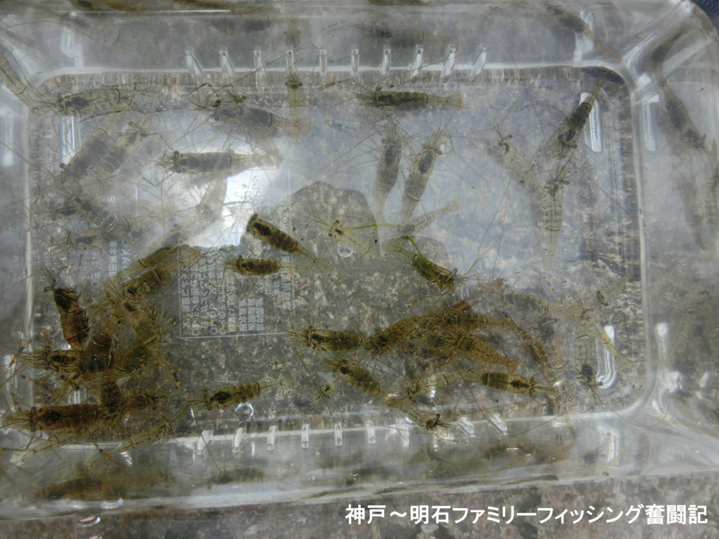 f:id:yggxq957:20170618201438j:plain