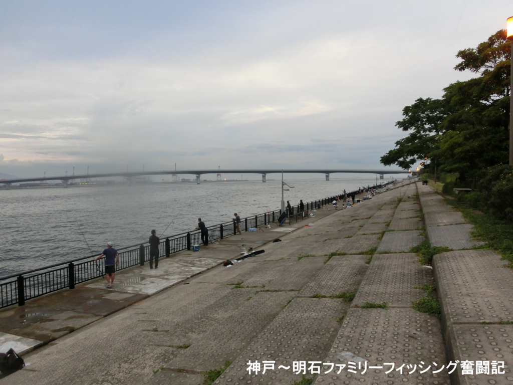 f:id:yggxq957:20170708231251j:plain