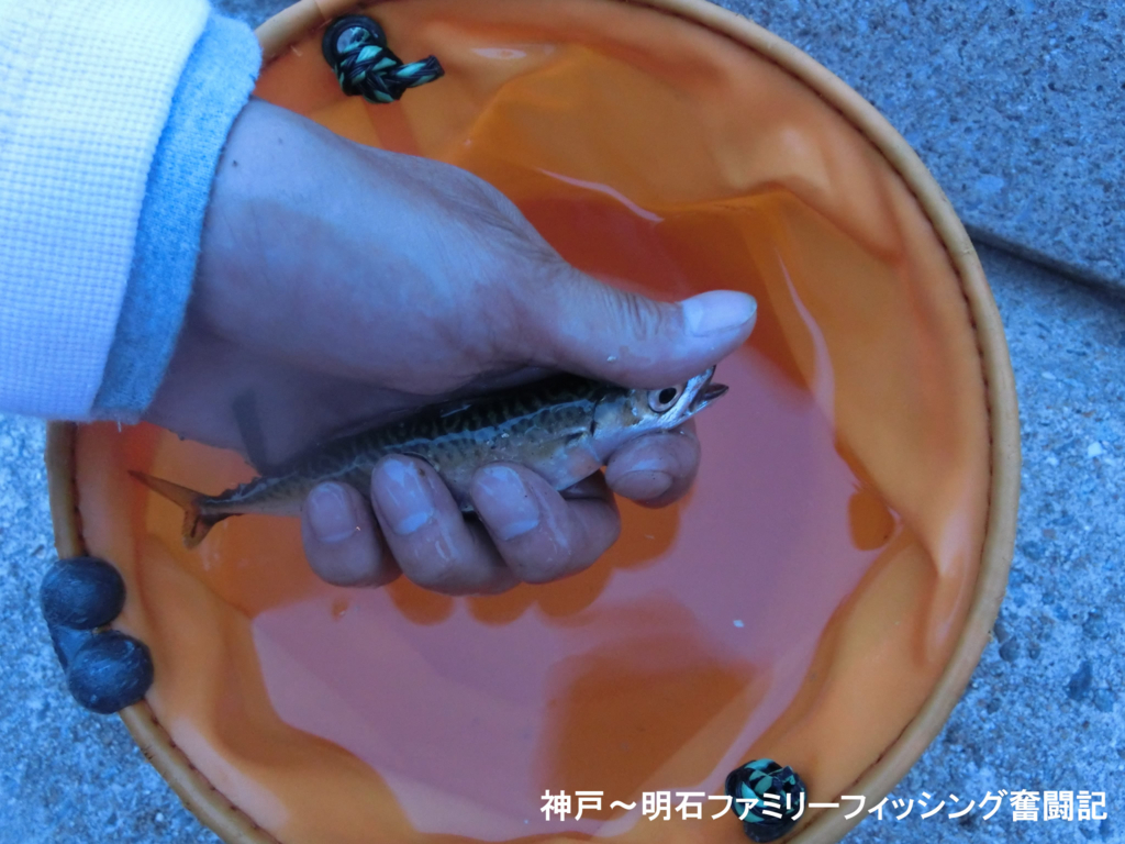 f:id:yggxq957:20170708234628j:plain