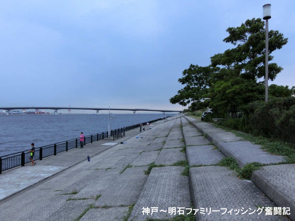 f:id:yggxq957:20170724230111j:plain