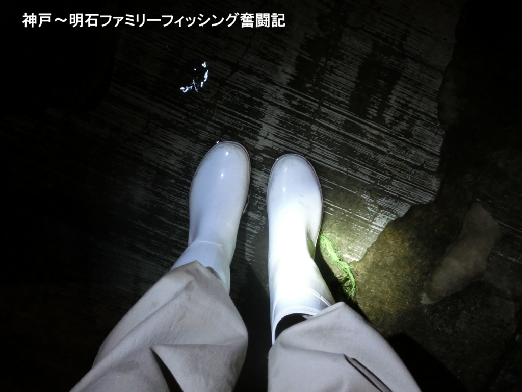 f:id:yggxq957:20170726052516j:plain