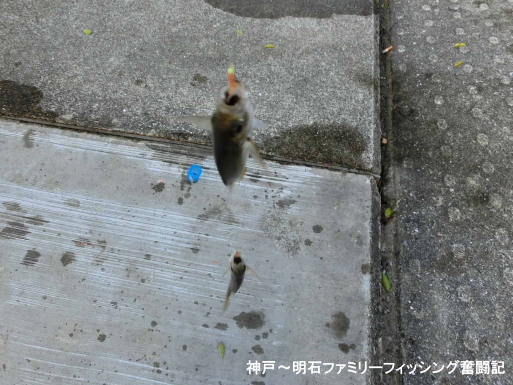 f:id:yggxq957:20170821191431j:plain