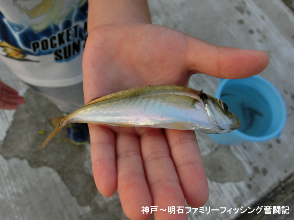 f:id:yggxq957:20170821192612j:plain