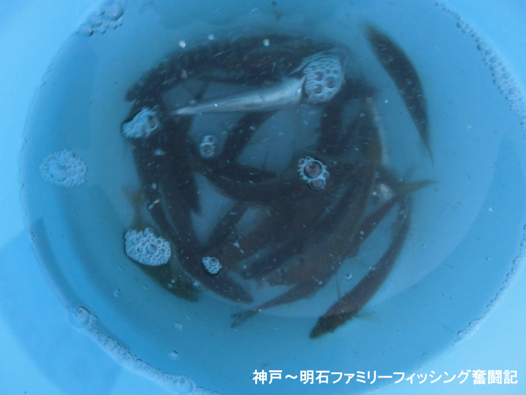 f:id:yggxq957:20170821192736j:plain