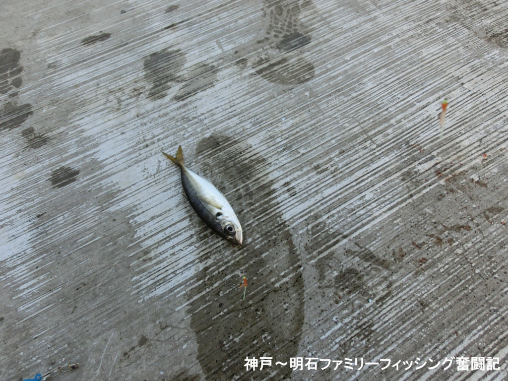 f:id:yggxq957:20170821193215j:plain