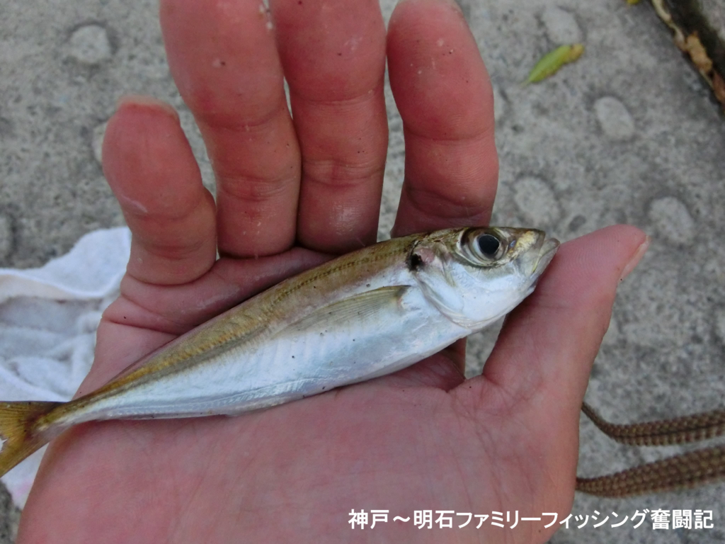 f:id:yggxq957:20170821193413j:plain