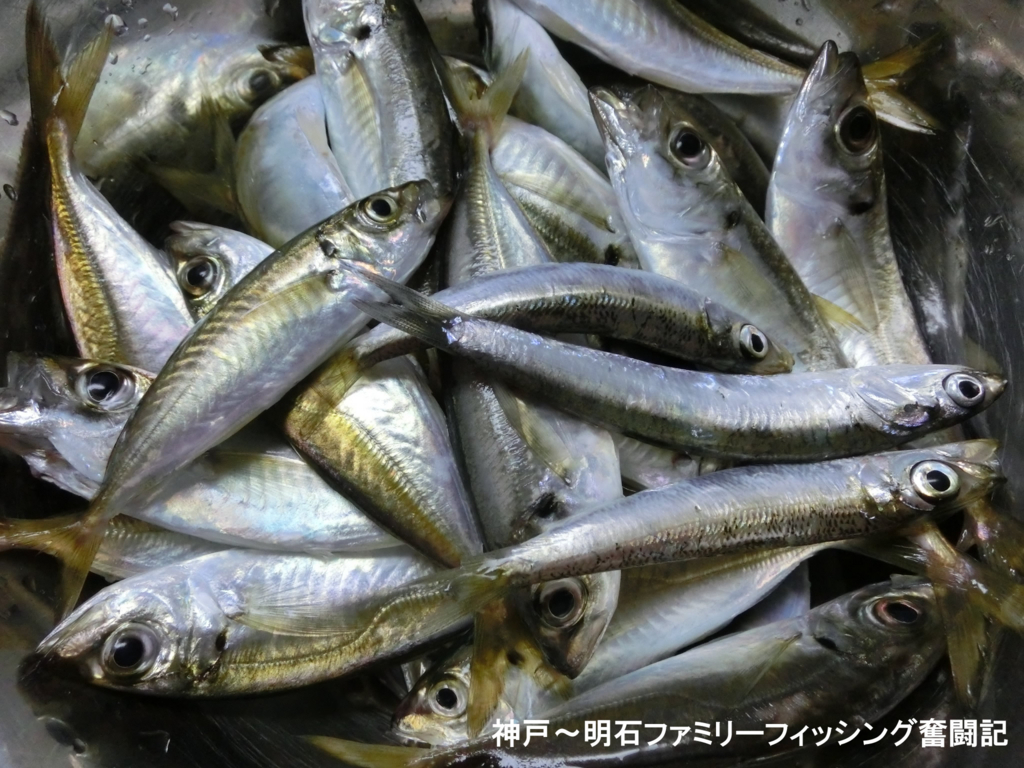 f:id:yggxq957:20170821194107j:plain