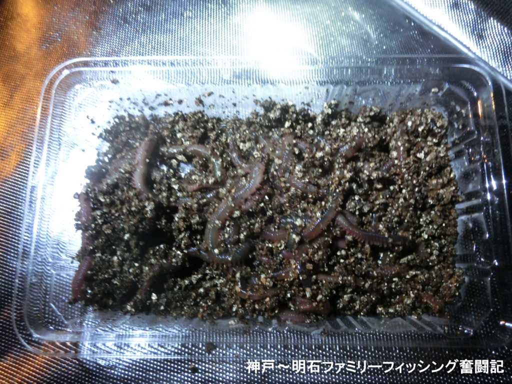 【釣り餌】定番虫エサ3種類 - 20171010202159