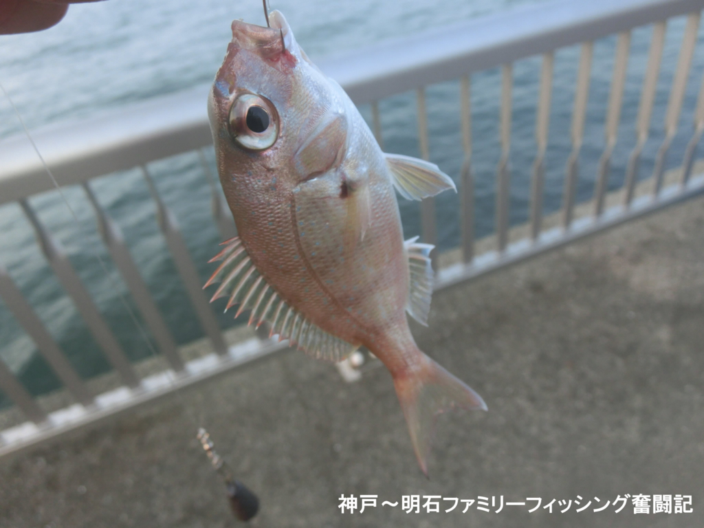 f:id:yggxq957:20171103190843j:plain