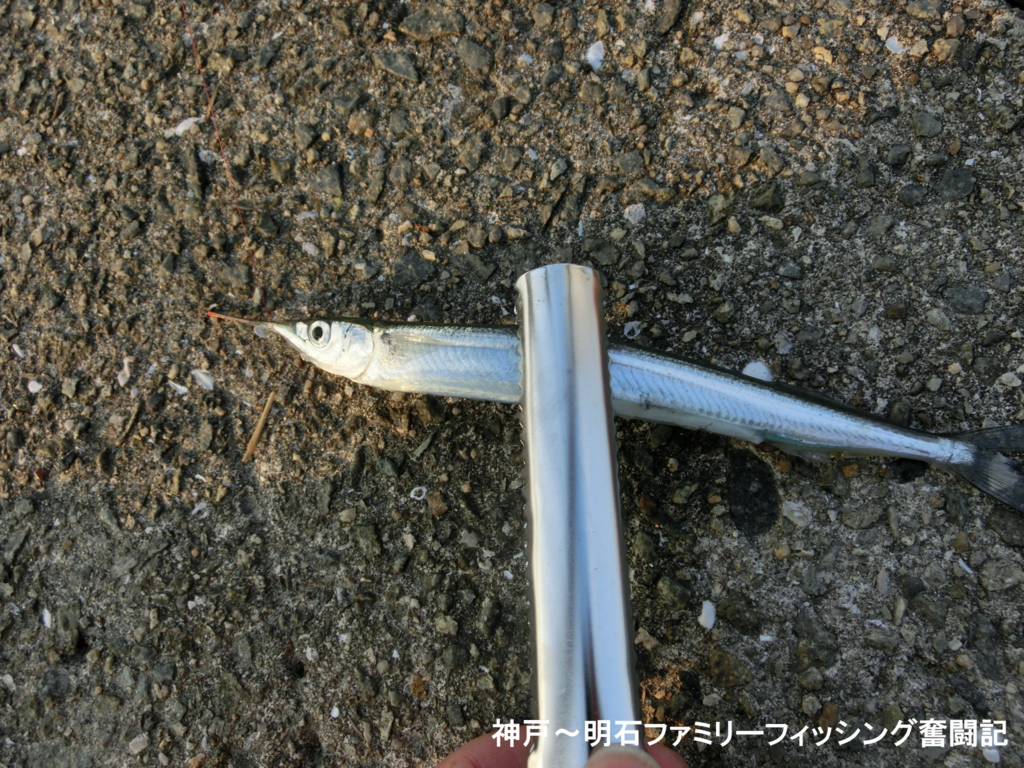 f:id:yggxq957:20171103192023j:plain