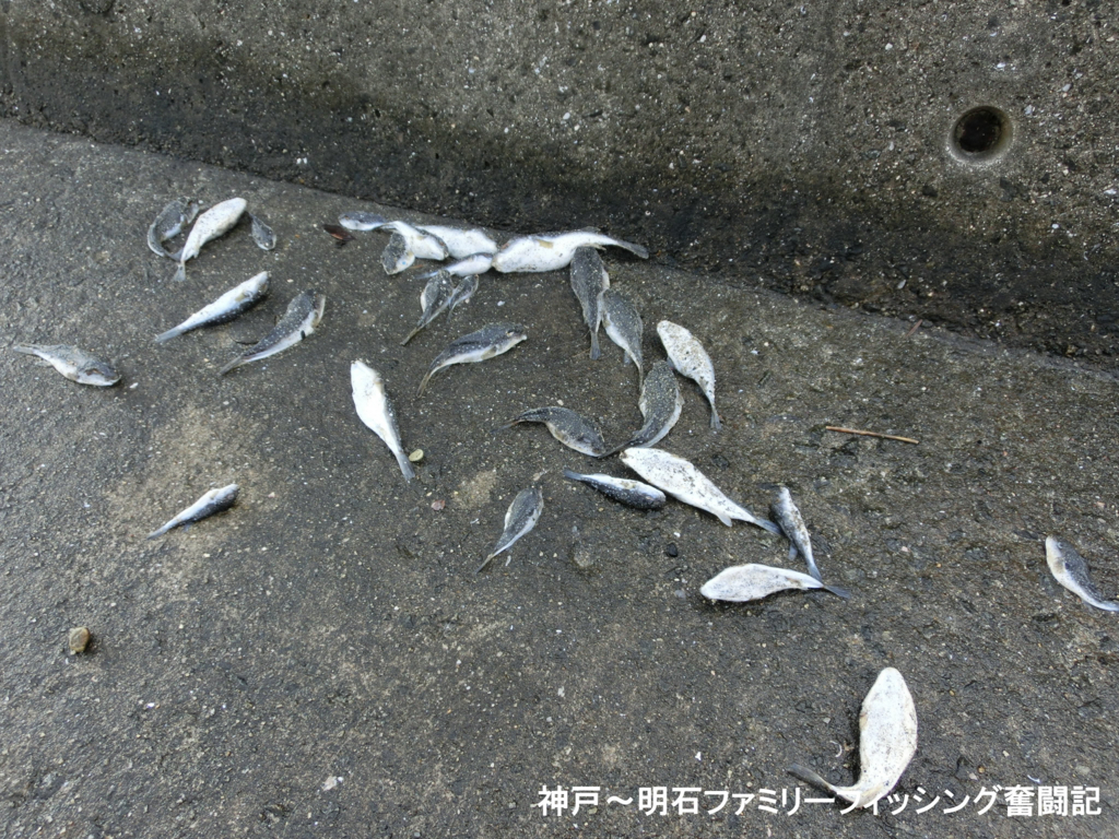 f:id:yggxq957:20171210192001j:plain