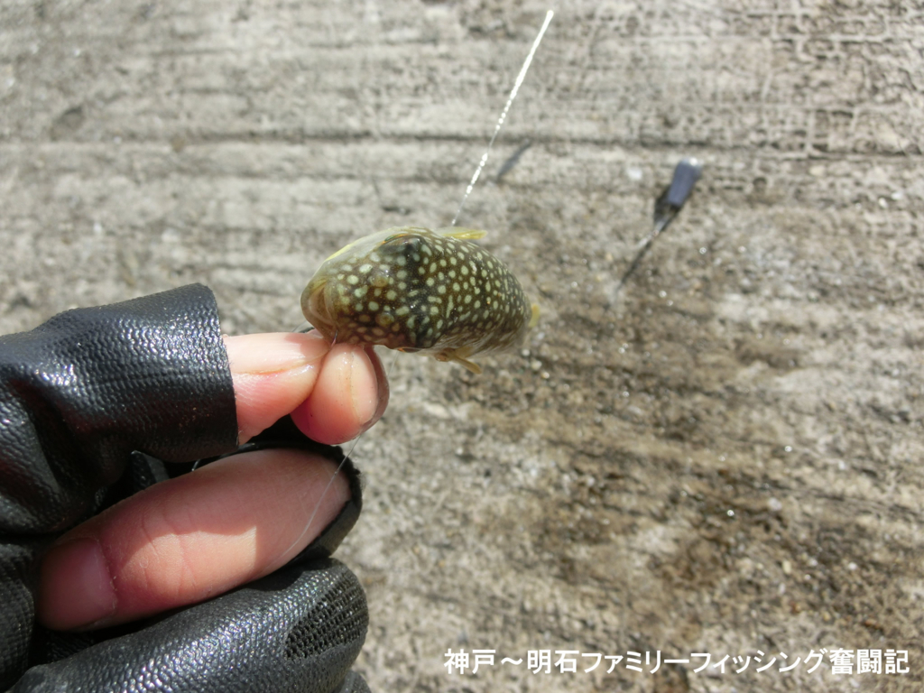 f:id:yggxq957:20171210193152j:plain