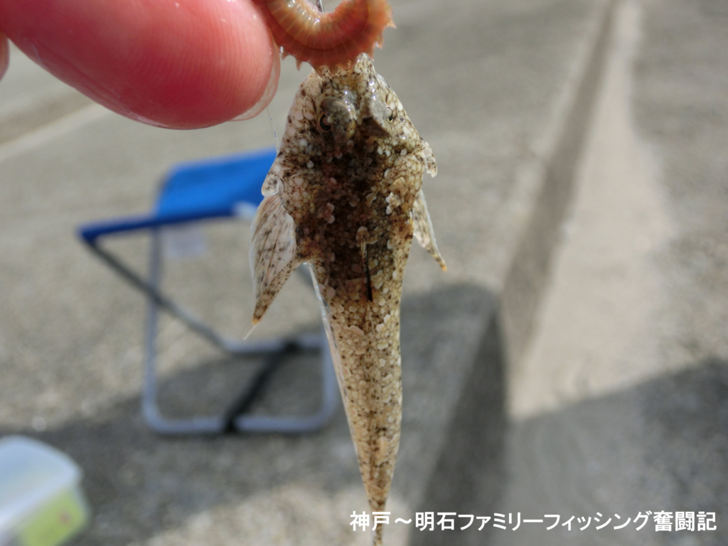 f:id:yggxq957:20171210195901j:plain