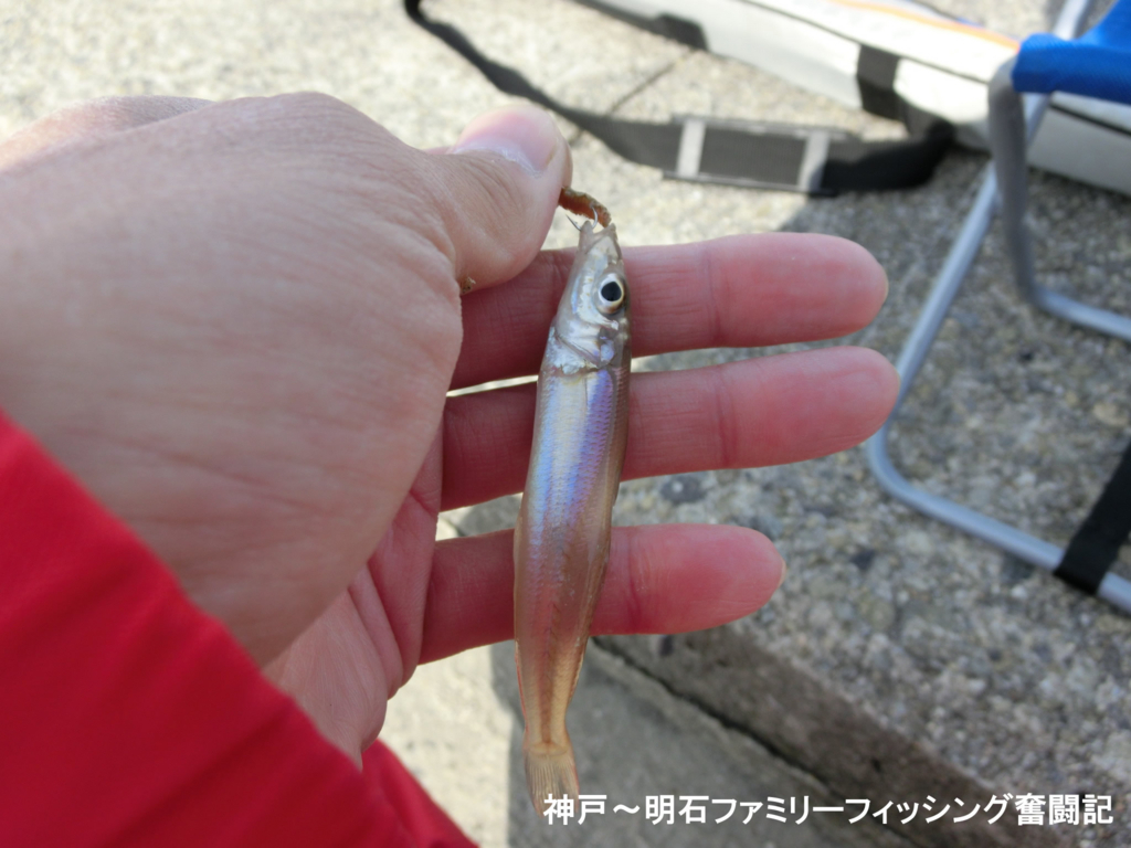 f:id:yggxq957:20171210200927j:plain