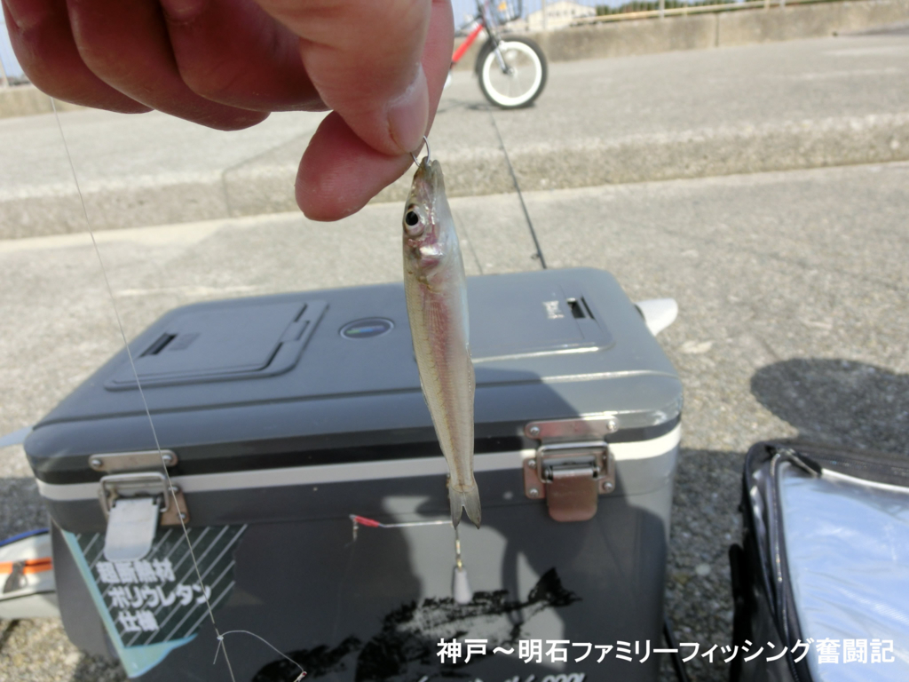 f:id:yggxq957:20171210201349j:plain