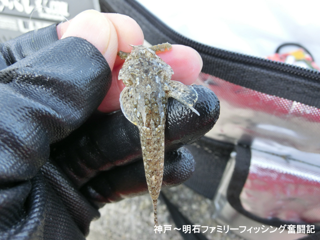 f:id:yggxq957:20171210201553j:plain