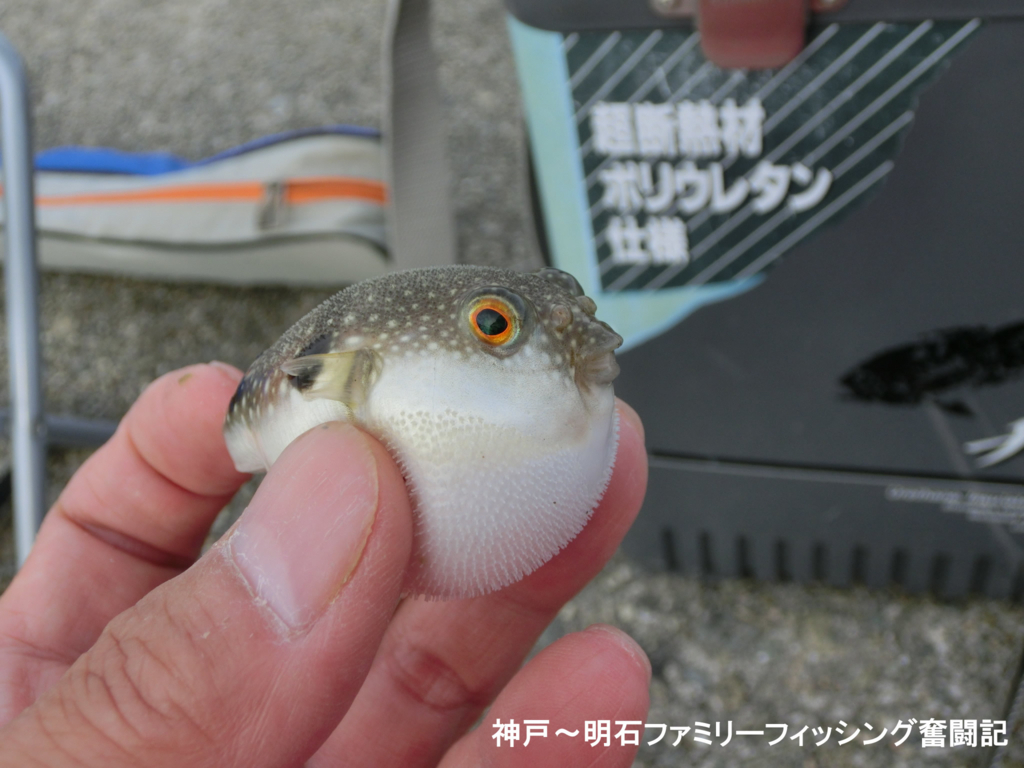 f:id:yggxq957:20171210201653j:plain