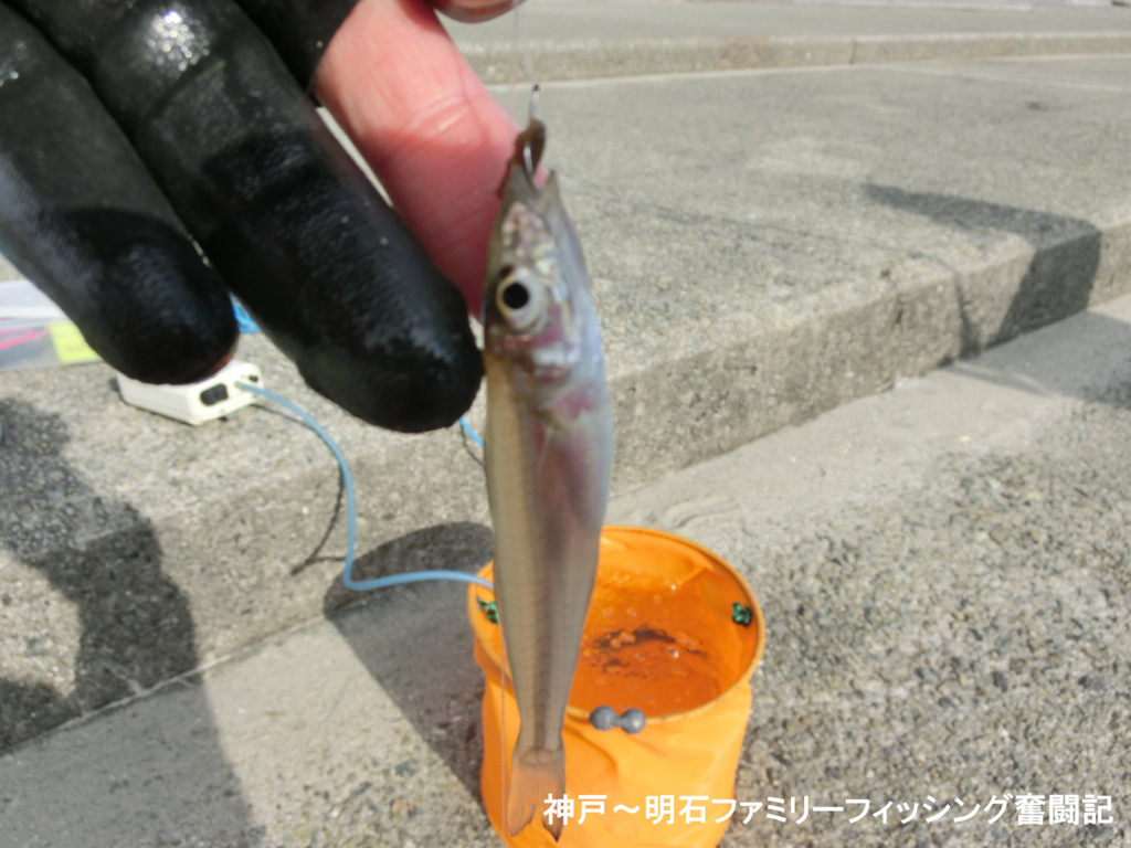 f:id:yggxq957:20171210201928j:plain