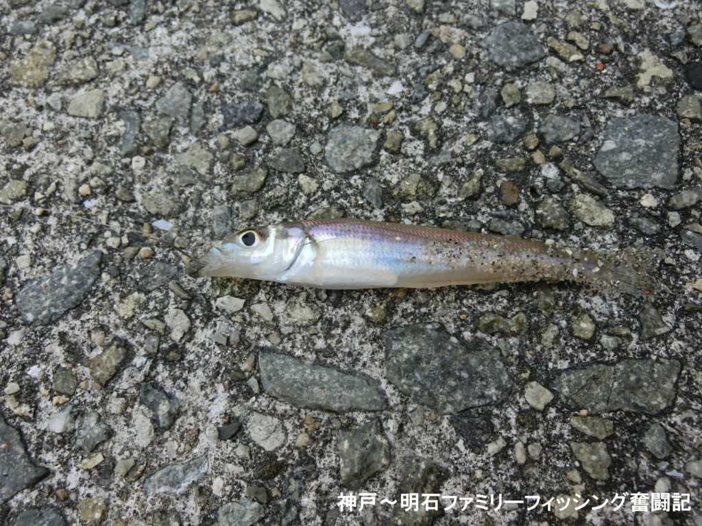 f:id:yggxq957:20171210202658j:plain