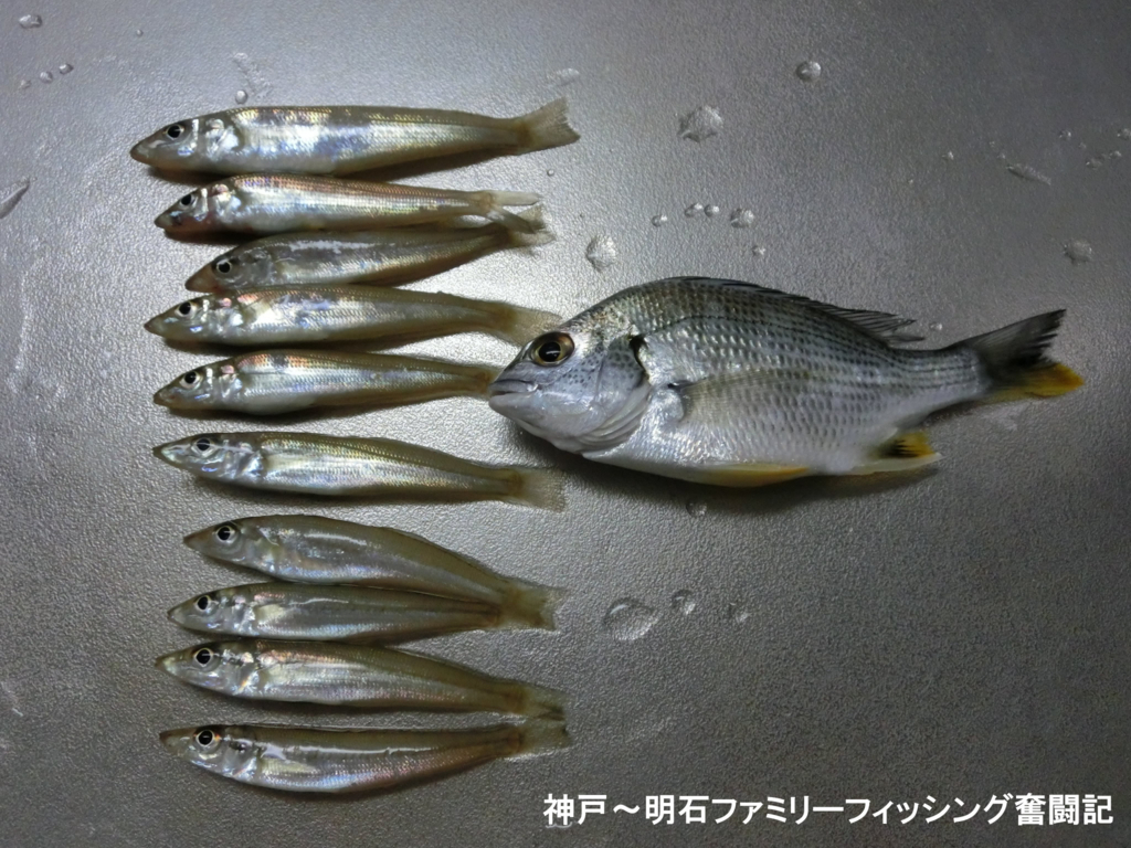 f:id:yggxq957:20171210203555j:plain