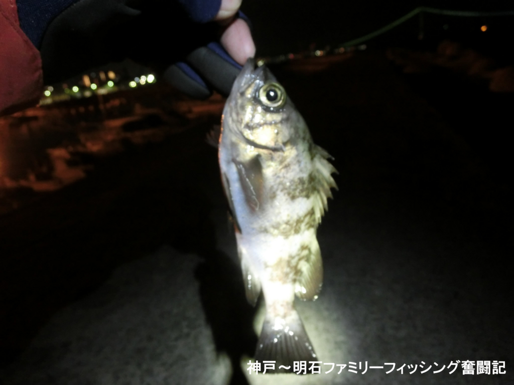 f:id:yggxq957:20180121013407j:plain f:id:yggxq957:20180121013407j:plain