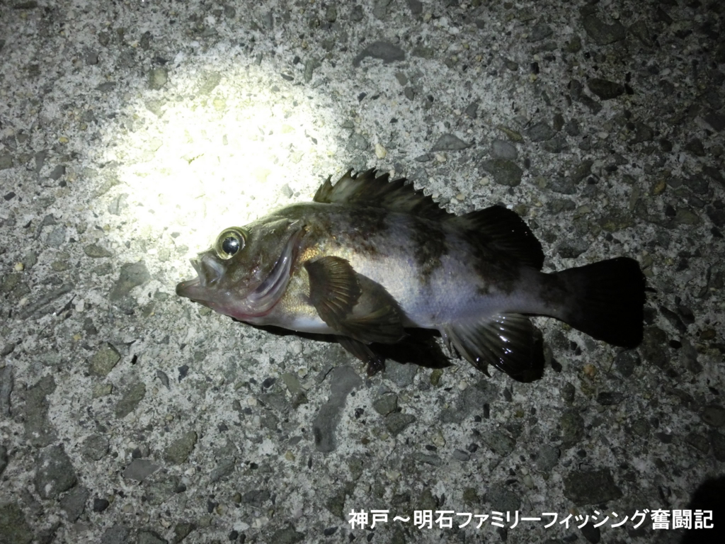 f:id:yggxq957:20180121013712j:plain f:id:yggxq957:20180121013712j:plain