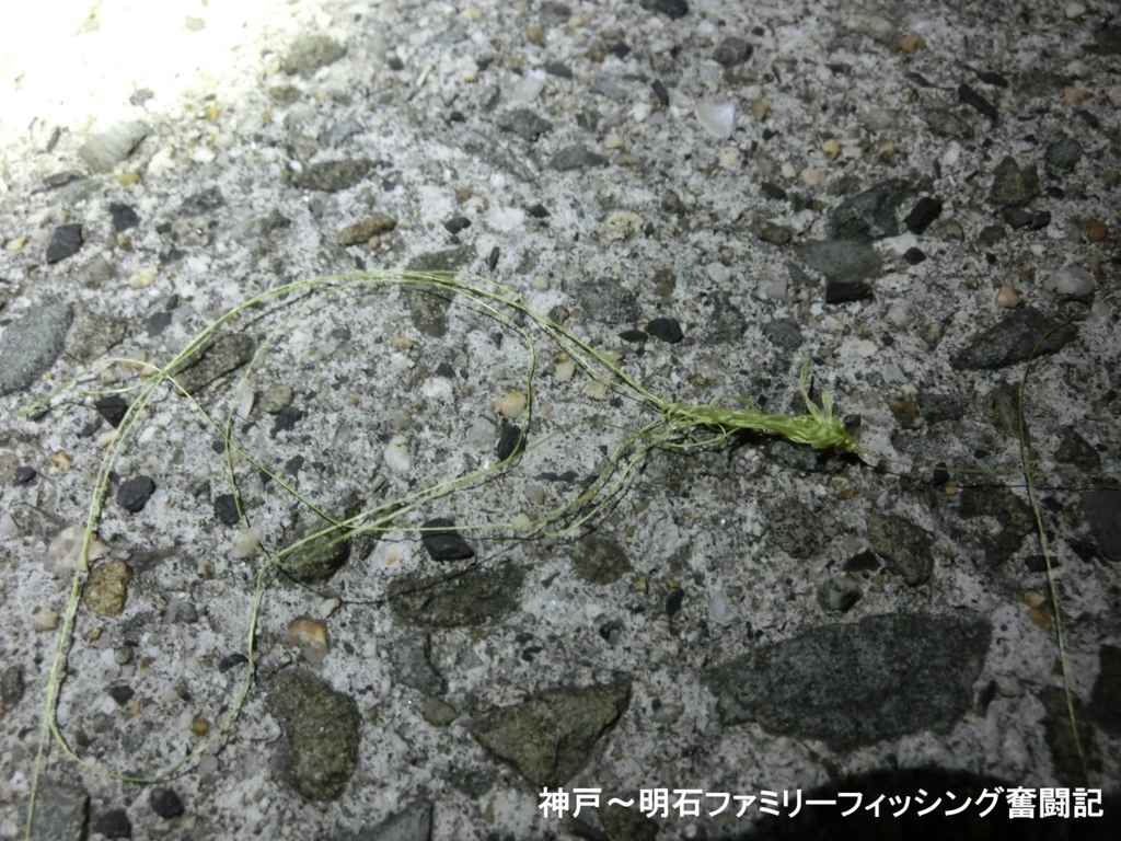 f:id:yggxq957:20180121014633j:plain f:id:yggxq957:20180121014633j:plain