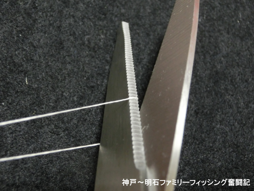 f:id:yggxq957:20180212162614j:plain