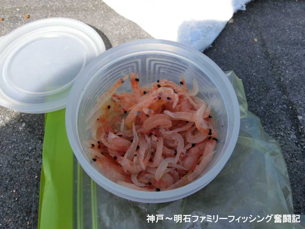 f:id:yggxq957:20180304200018j:plain