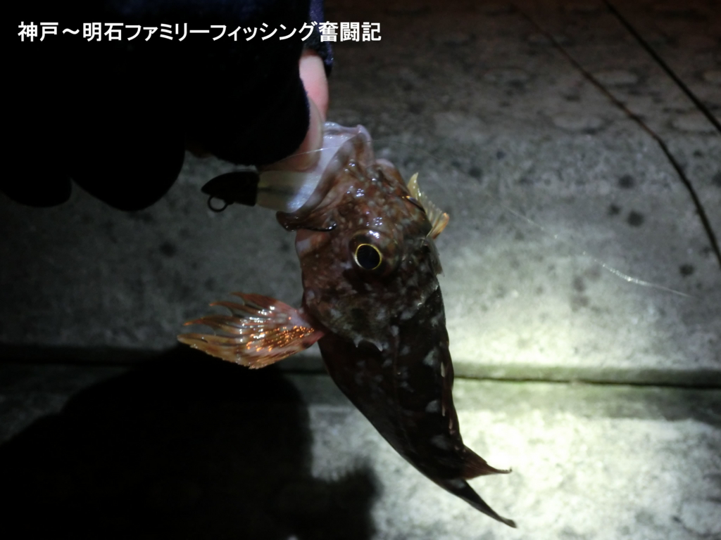 f:id:yggxq957:20180324060156j:plain