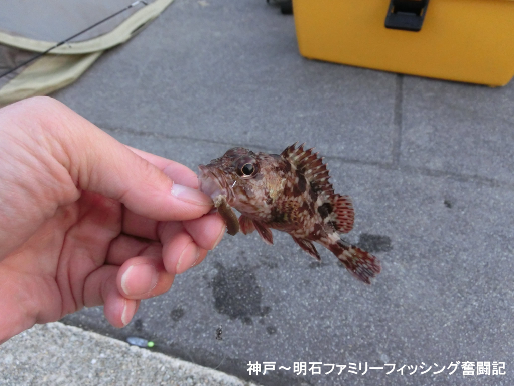 f:id:yggxq957:20180430150730j:plain