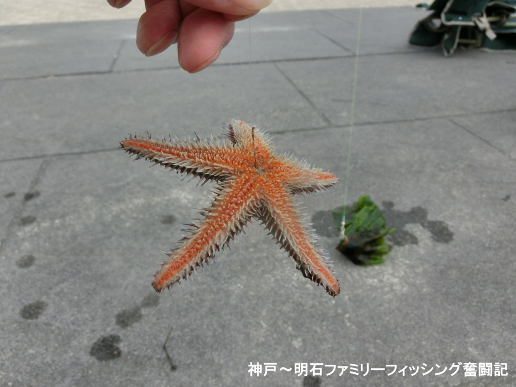 f:id:yggxq957:20180430153531j:plain