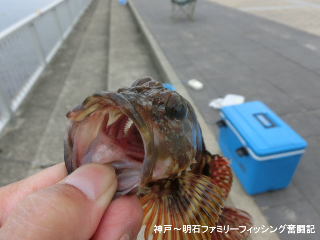 f:id:yggxq957:20180430154726j:plain