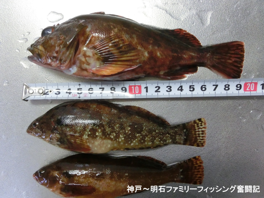 f:id:yggxq957:20180430160317j:plain