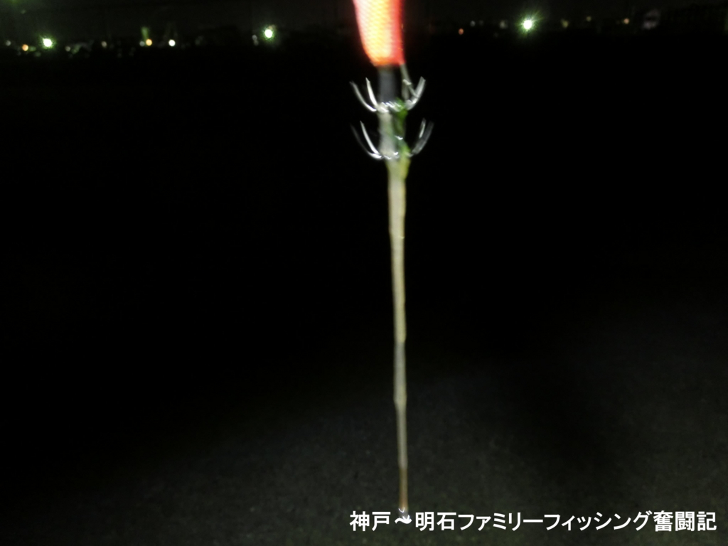 f:id:yggxq957:20180603015919j:plain