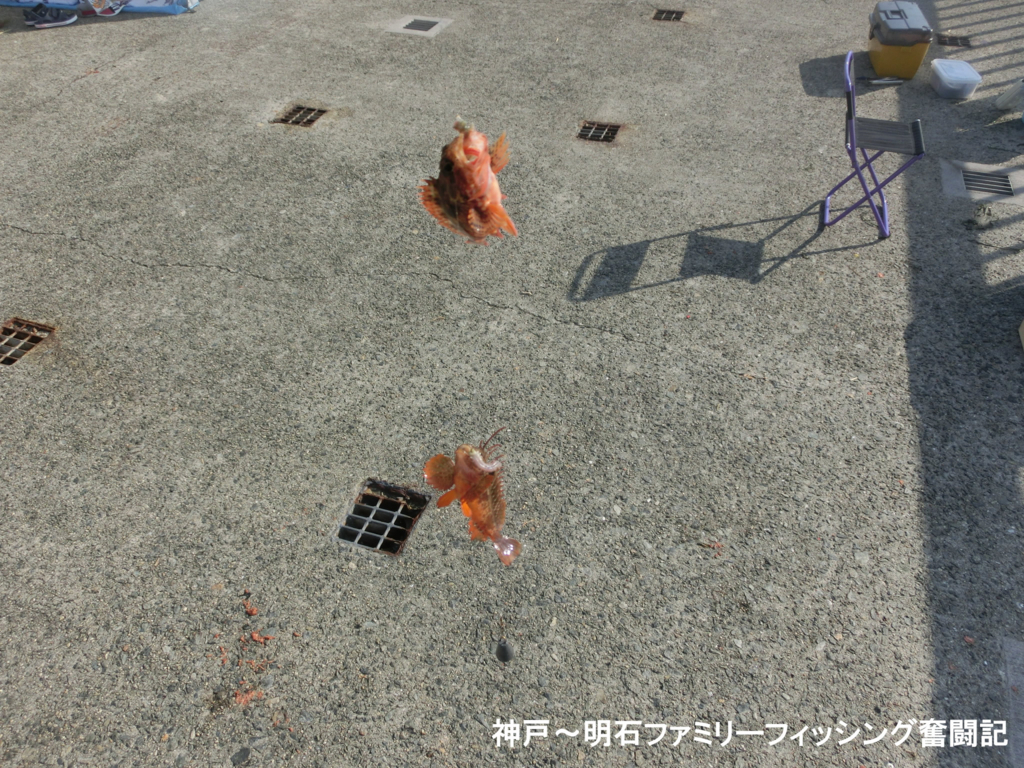 f:id:yggxq957:20180714195143j:plain