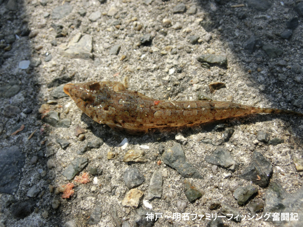 f:id:yggxq957:20180714200926j:plain