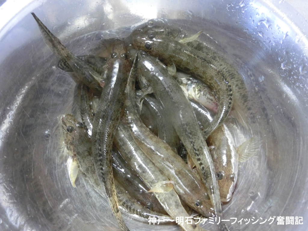 f:id:yggxq957:20180721055855j:plain