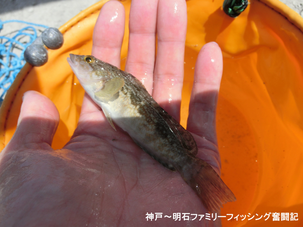 f:id:yggxq957:20180723195143j:plain