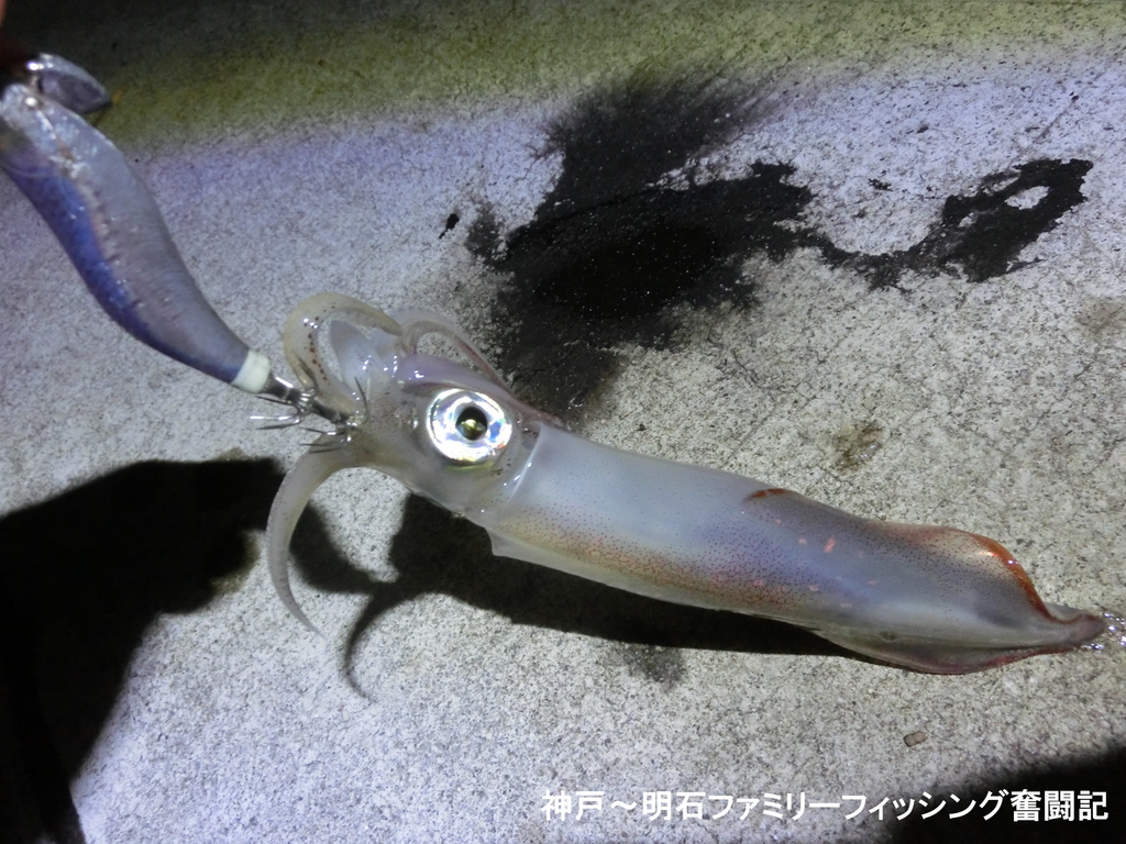 f:id:yggxq957:20180902113858j:plain