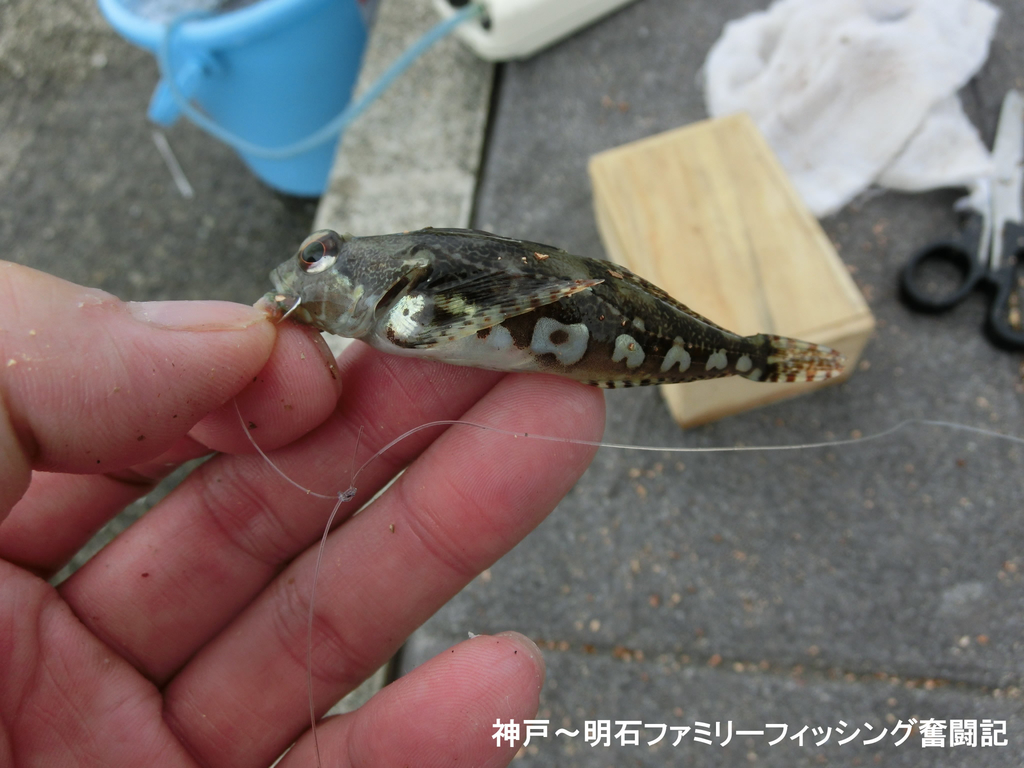 f:id:yggxq957:20180916113707j:plain