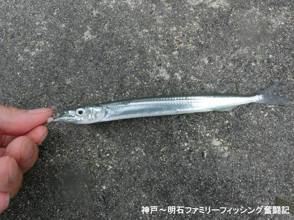 f:id:yggxq957:20180916180125j:plain