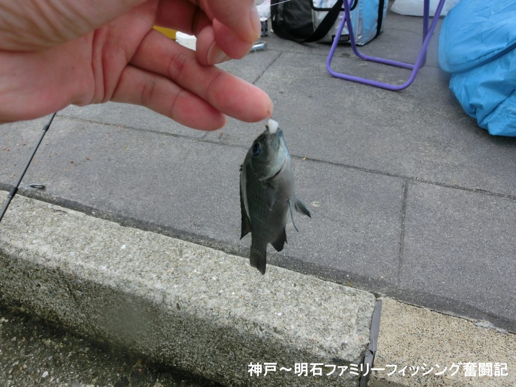 f:id:yggxq957:20180916180705j:plain