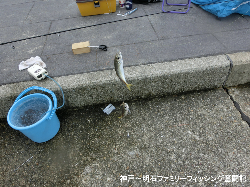 f:id:yggxq957:20180916191651j:plain